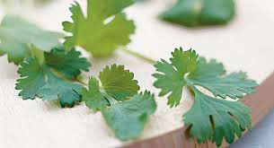 Weight loss with parsley