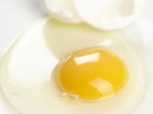 01 egg yolk egg uses sl