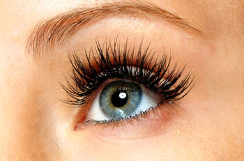 eyelash extensions in potts point