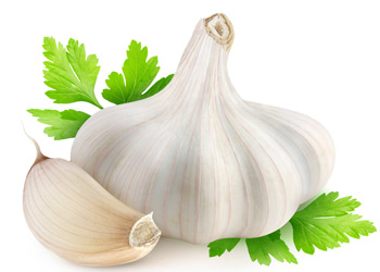 Depositphotos Garlic 27380287 m