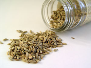 Fennel seed