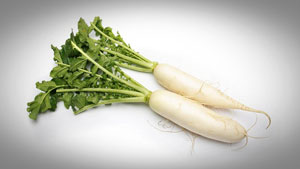 radish