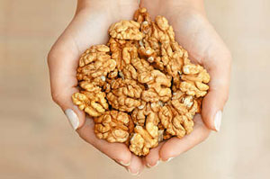 walnuts in hand