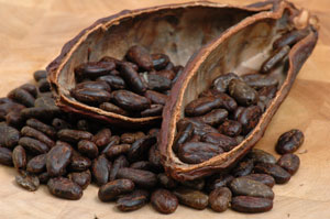 raw cacao