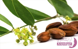 خواص روغن جوجوبا